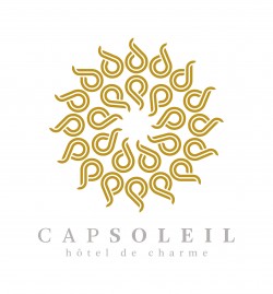 1- logo cap soleil uso principal