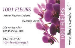 Logo 1001 fleurs